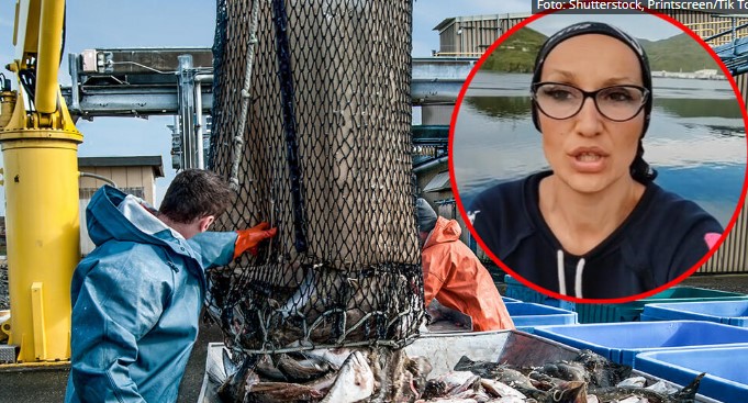 Платата на Аљаска е 7.500 долари но ретко кој издржува цел ден да чисти лосос