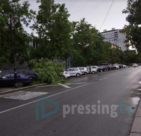 Паднати дрва во Карпош 1 (ФОТО)