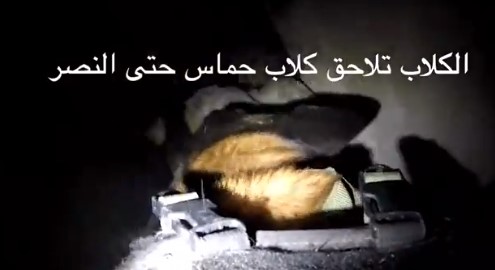 Кучиња во тунелите на Хамас (ВОЗНЕМИРУВАЧКО ВИДЕО)