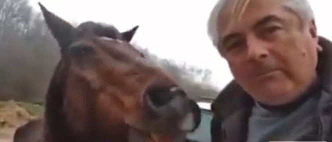 Семејството Ахмети активно пред Нова Година: Внукот дила петарди, чичкото рани коњ со чоколадо