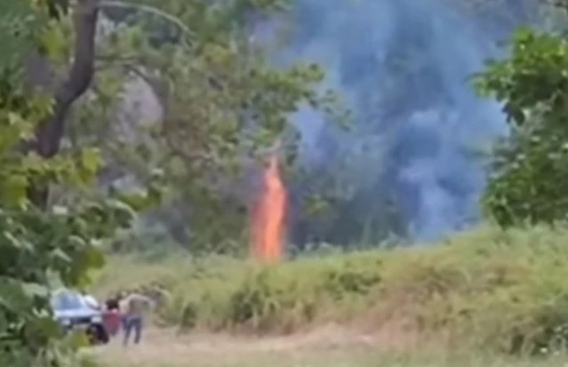 Пожар во омиленото летувалиште на Македонците во Грција (ВИДЕО)