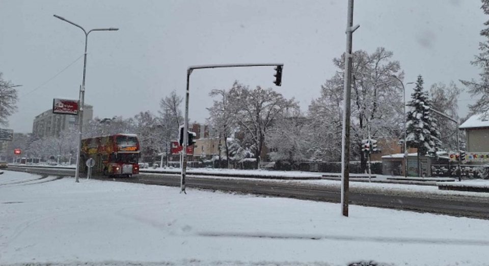 Зимски радости во Скопје (ФОТО)