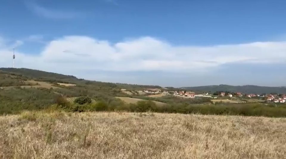 На ова место Цеца ќе гради фарма за свињи (ФОТО)