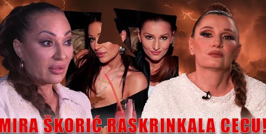 Зошто пукна пријателството меѓу Цеца и Мира Шкориќ?