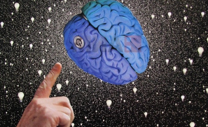 Еве до кога ви се развива мозокот