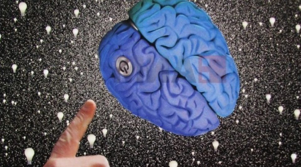 Чии мозоци од Македонија се користеле во експериментите на Епштајн?