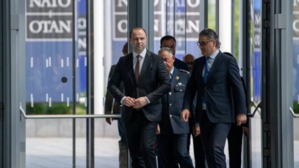 Министерот Мисајловски на Самитот на НАТО во Анкара