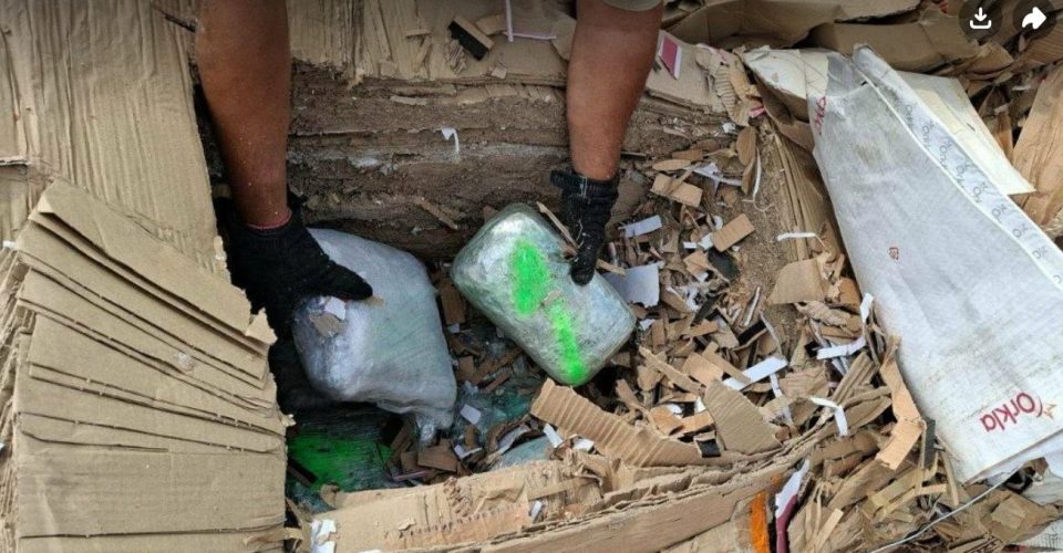 Голема меѓународна полициска акција: Разбиена криминална група за трговија со дрога, запленети околу 300 килограми марихуана