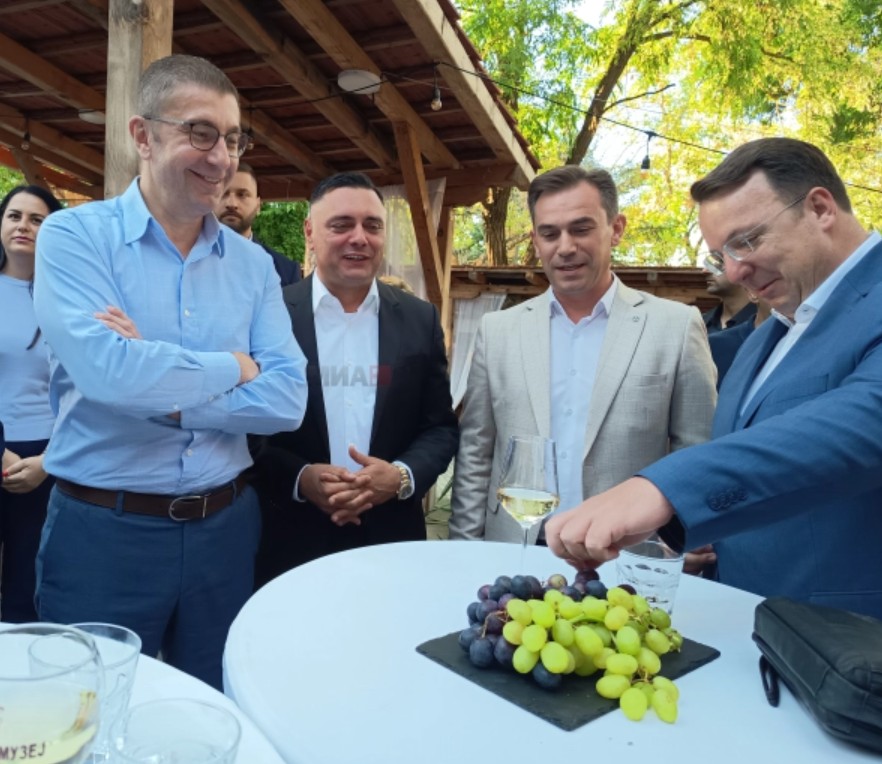 Мицкоски и Николоски на Тиквешкиот гроздобер